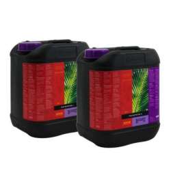 B'CUZZ COCO NUTRITION A 5 L. * ATAMI
