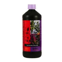 B'CUZZ COCO BLOOM STIMULATOR 1 L. * ATAMI