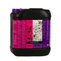 B'CUZZ BLOOM STIMULATOR 5 L. * ATAMI