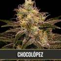 9 UND FEM - CHOCOLOPEZ * BLIMBURN SEEDS 9 UND FEMINIZADAS