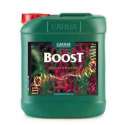 CANNABOOST ACCELERATOR 5 L. * CANNA