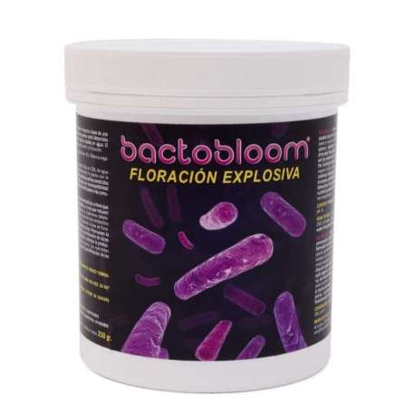 BACTOBLOOM 250GR * COMPLEMENTOS AGROBACTERIAS