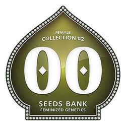 6 UND FEM - FEMALE COLLECTION 2 * 00SEEDS 6 UND FEMINIZADAS