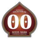 6 UND FEM - AUTOFLORACION COLLECTION 2 * 00SEEDS 6 UND FEMINIZADAS