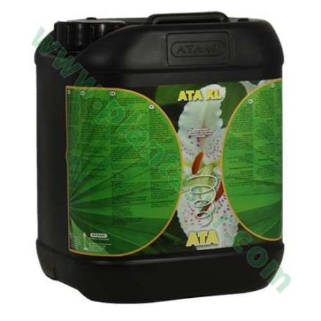 ATA - XL 5L. * ATAMI