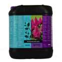 B'CUZZ BLOSSOM BUILDER LIQUID 5 L. * ATAMI
