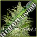 3 UND FEM - LLIMONET HAZE AUTO CBD * ELITE 3 UND FEMINIZADAS