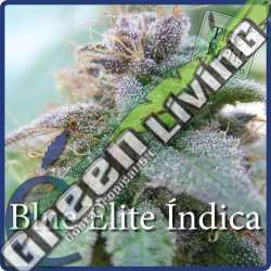 7 UND FEM - BLUE ELITE INDICA * ELITE SEEDS 7 UND FEMINIZADAS