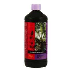 B'CUZZ COCO BOOSTER UNIVERSAL 1 L * ATAMI FERTILIZANTES