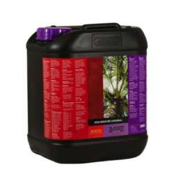B'CUZZ COCO BOOSTER UNIVERSAL 5 L * ATAMI FERTILIZANTES
