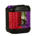 B'CUZZ COCO BOOSTER UNIVERSAL 5 L * ATAMI FERTILIZANTES