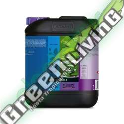 B'CUZZ HYDRO NUTRITION B 5 L. * ATAMI