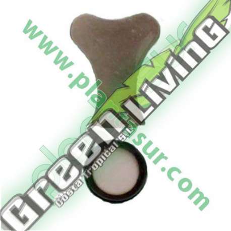 RECAMBIO PARA NEBULIZADOR 1 MEMBRANA DISCO + LLAVE * HUMIDIFICADORES