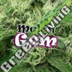 4 UND FEM - MELON GUM * DR UNDERGROUND 4 UND FEM