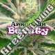 4 UND FEM - AMERICAN BEAUTY * DR UNDERGROUND 4 UND FEM