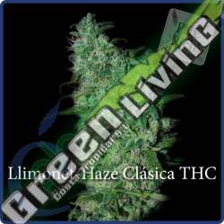 7 UND FEM - LLIMONET HAZE * ELITE SEEDS 7 UND FEMINIZADAS