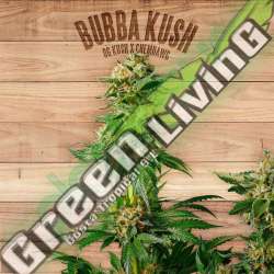 3 UND FEM - BUBBA KUSH * THE PLANT ORGANIC SEEDS 3 UND FEM