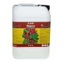 RIPEN 10 L. * GENERAL HIDROPONICS