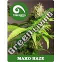 5 UND REG - MAKO HAZE * KIWISEEDS 5 UND REGULARES