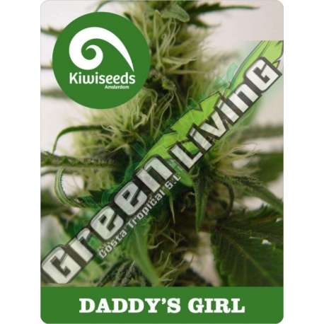 5 UND REG - DADDY'S GIRL * KIWISEEDS 5 UND REGULARES