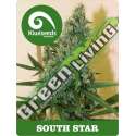 5 UND REG - SOUTH STAR * KIWISEEDS 5 UND REGULARES