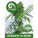 5 UND REG - OCEANS 12 HAZE * KIWISEEDS DAMPKRING CLASSICS 5 UND REGULARES