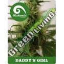 5 UND FEM - DADDY'S GIRL * KIWISEEDS 5 UND FEMINIZADAS