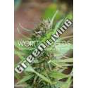 3 UND FEM - STRAWBERRY BLUE (LEGEND COLLECTION) * WORLD OF SEEDS 3 UND FEMINIZADAS