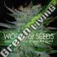 3 UND FEM - NEW YORK 47 (LEGEND COLLECTION) * WORLD OF SEEDS 3 UND FEMINIZADAS