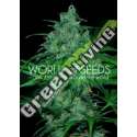 3 UND FEM - WILD THAILAND (PURE ORIGIN COLLECTION) * WORLD OF SEEDS 3 UND FEMINIZADAS