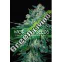 3 UND FEM - KETAMA (PURE ORIGIN COLLECTION) * WORLD OF SEEDS 3 UND FEMINIZADAS