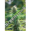 3 UND FEM - COLOMBIAN GOLD (PURE ORIGIN COLLECTION) * WORLD OF SEEDS 3 UND FEMINIZADAS