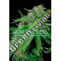 7 UND FEM - BRAZIL AMAZONIA (PURE ORIGIN COLLECTION) * WORLD OF SEEDS 7 UND FEMINIZADAS