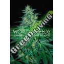 7 UND FEM - SOUTH AFRICAN KWAZULU (PURE ORIGIN COLLECTION) * WORLD OF SEEDS 7 UND FEMINIZADAS