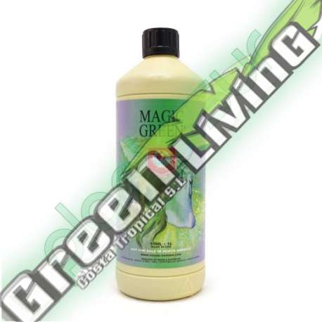 MAGIC GREEN 1L * HOUSE & GARDEN