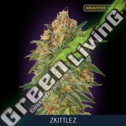 1 UND FEM - ZKITTLEZ ADVANCED SEEDS 1 UND FEM