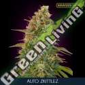 1 UND FEM - AUTO ZKITTLEZ ADVANCED SEEDS 1 UND FEM