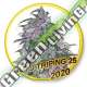 1 UND FEM - AUTO TRIPIN 25 (USA STRAINS) MR. HIDE SEEDS 1 UND FEM