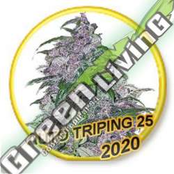 1 UND FEM - AUTO TRIPIN 25 (USA STRAINS) MR. HIDE SEEDS 1 UND FEM