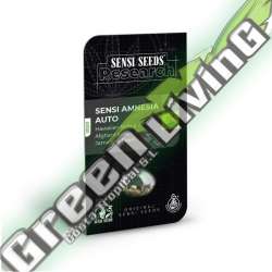 1 UND FEM - SENSI AMNESIA AUTO SENSI SEEDS RESEARCH FEMINIZADA 1 UND