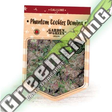 1 UND FEM - PHANTOM COOKIES DOMINA GARDEN OF GREEN 1 UND FEMINIZADAS