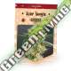 1 UND FEM - SOUR TANGIE GARDEN OF GREEN 1 UND FEMINIZADAS