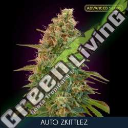 3 UND FEM - AUTO ZKITTLEZ ADVANCED SEEDS 3 UND FEM