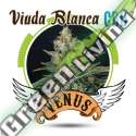 3 UND FEM - VIUDA BLANCA CBD VENUS GENETIC 3 UND FEMINIZADAS