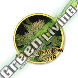 3 UND FEM - AUTO WHITE WIDOW MR. HIDE SEEDS 3 UND FEM