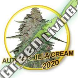 3 UND FEM - AUTO GORILLA CREAM (USA STRAINS) MR. HIDE SEEDS 3 UND FEM