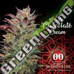 5 UND FEM - AUTO CHOCOLATE CREAM 00SEEDS 5 UND FEMINIZADAS