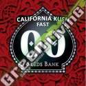 5 UND FEM - CALIFORNIA KUSH FAST 00SEEDS 5 UND FEMINIZADAS