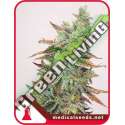 3 UND FEM - BANANA PURP MEDICAL SEEDS 3 UND FEM