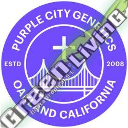 3 UND REG - LEMON CARAMEL PURPLE CITY GENETICS 3 REGULARES